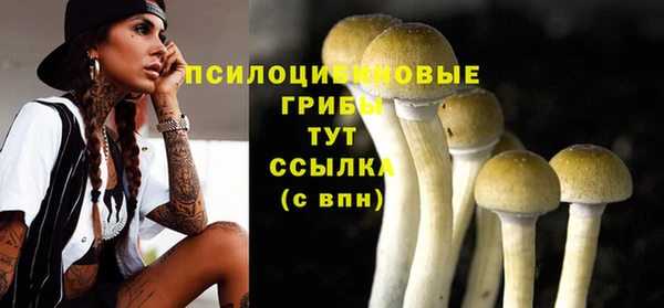 трава Елизово