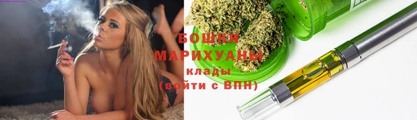 PSILOCYBIN Ельня