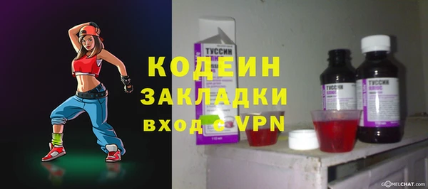 PSILOCYBIN Ельня