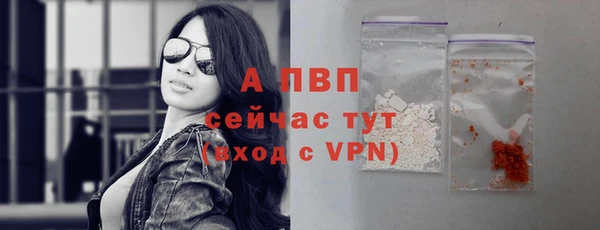 PSILOCYBIN Ельня