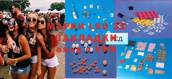 PSILOCYBIN Ельня