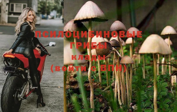 трава Елизово