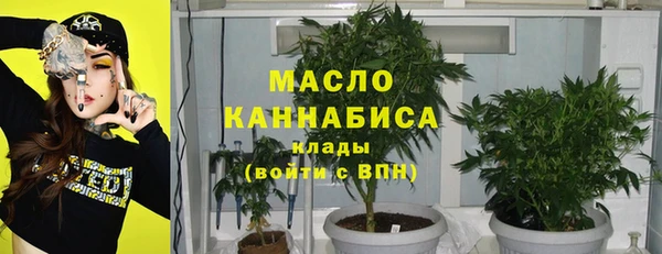 PSILOCYBIN Ельня