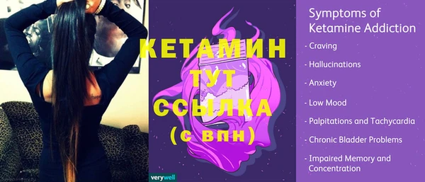 PSILOCYBIN Ельня