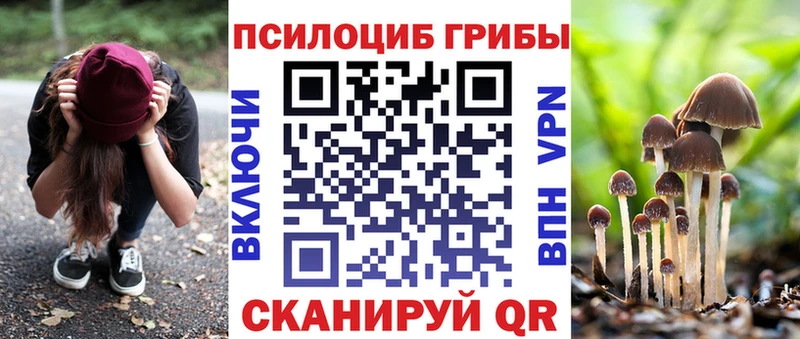 Купить закладки  Михайловск  Галлюциногенные грибы Psilocybine cubensis 